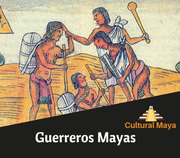Guerreros Mayas